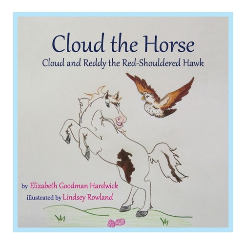 Cloud the Horse Cloud and Reddy the Red-Shouldered Hawk