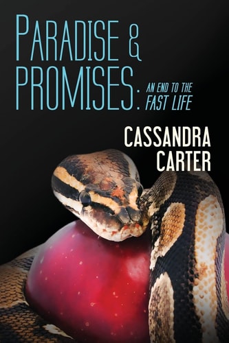 Paradise & Promises An End to the Fast Life