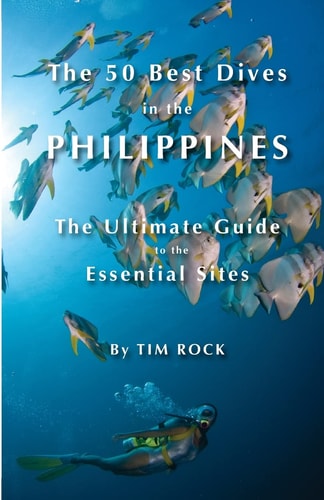 The 50 Best Dives in the Philippines The Ultimate Guide to the Essential Sites