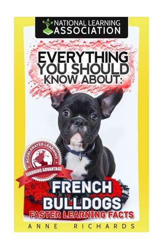 Everything You Should Know About French Bulldogs