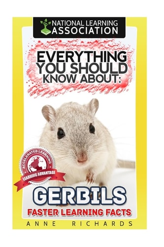 Everything You Should Know About Gerbils Faster Learning Facts
