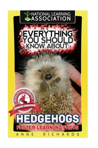 Everything You Should Know About Hedgehogs