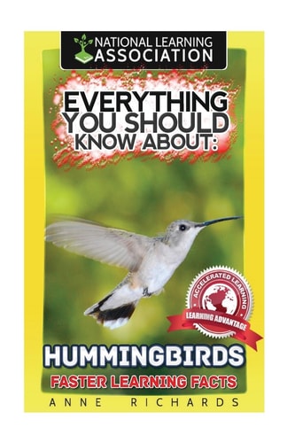 Everything You Should Know About Hummingbirds