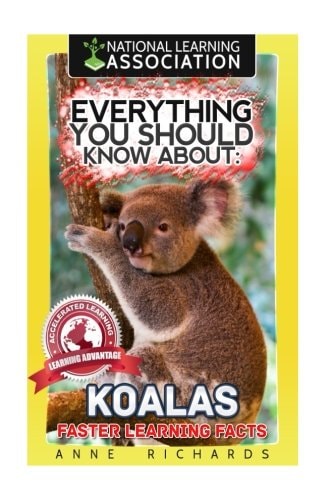 Everything You Should Know About Koalas