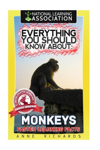 Everything You Should Know About Monkeys