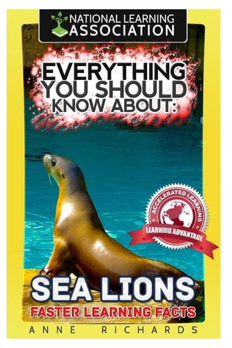 Everything You Should Know About : Sea Lions