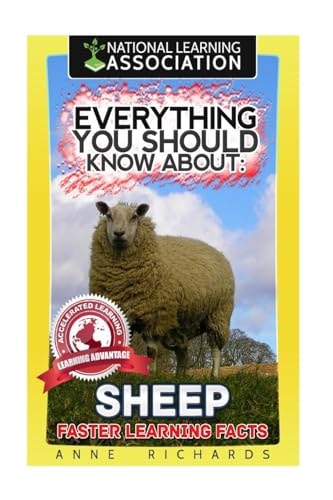 Everything You Should Know About Sheep