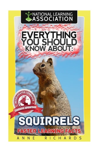 Everything You Should Know About Squirrels
