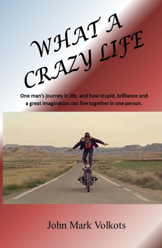 What a Crazy Life One Man?s Journey in Life, and How Stupid, Brilliance and a Great Imagination Can Live Together in One Person
