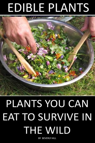 Edible Plants Plants You Can Eat To Survive In the Wild