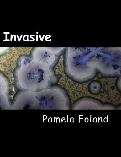 Invasive Large Print Edition
