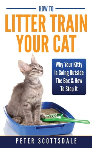 How to Litter Train Your Cat Why Your Kitty Is Going Outside the Box and How to Stop It