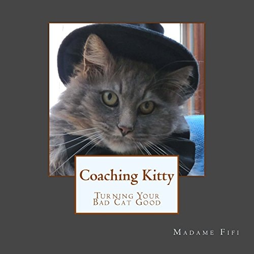 Coaching Kitty Turning Your Bad Cat Good