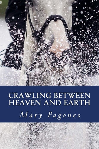 Crawling Between Heaven and Earth