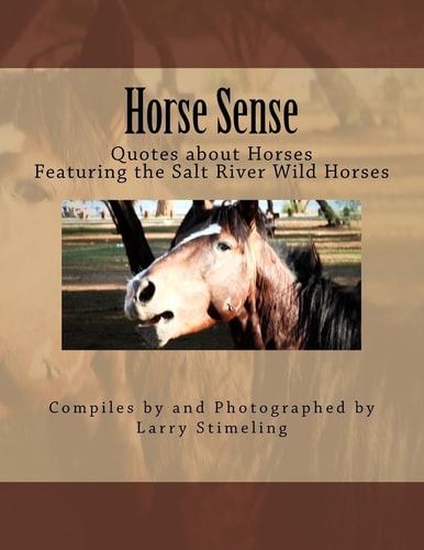 Horse Sense Quotes about Horses
