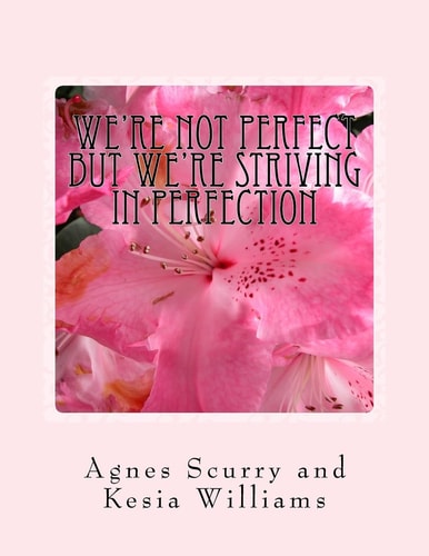 We?re Not Perfect But We?re Striving in Perfection In the Eyes of the Beholder