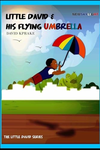 Newskylight Little David and His Flying Umbrella