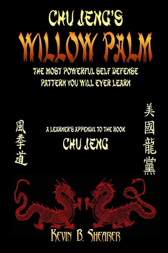 Willow Palm The Most Powerful Self Defense Pattern You Will Ever Learn