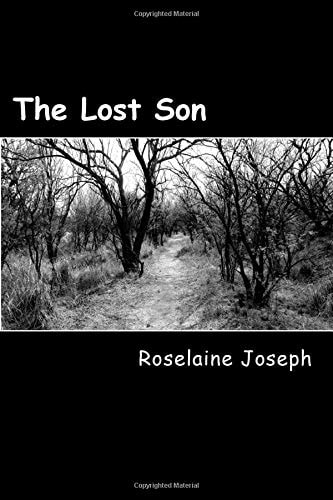 The Lost Son