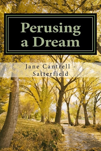 Perusing a Dream