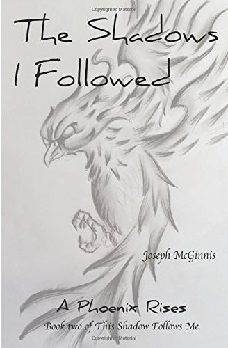 The Shadows I Followed A Phoenix Rises