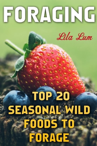 Foraging Top 20 Seasonal Wild Foods to Forage
