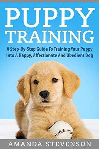 Puppy Training