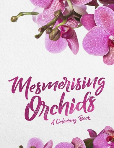 Mesmerising Orchids A Colouring Book