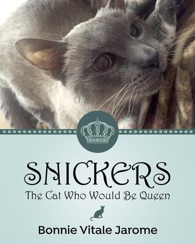 Snickers The Cat Who Would Be Queen