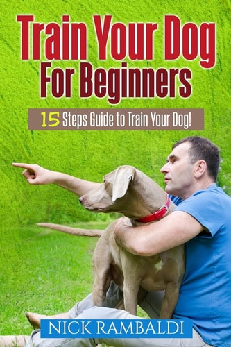 Train Your Dog For Beginners 15 Steps Guide To Train Your Dog