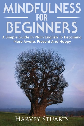 Mindfulness For Beginners Mindfulness Meditation For Beginners, Become More Aware, Enjoy The Present Moment More, Lower Stress And Anxiety. ( Mindfulness, Find Peace, Enlightenment, Calm Your Mind )