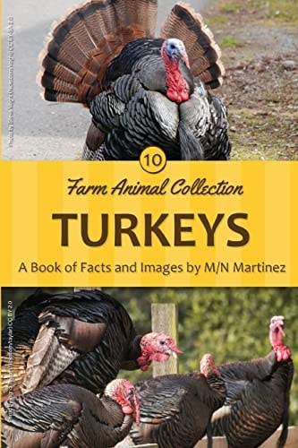 Turkeys