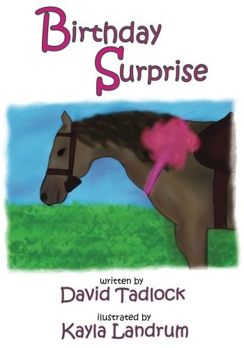 Birthday Surprise