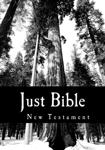 Just Bible New Testament
