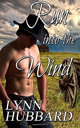 Run Into the Wind A Western Romance