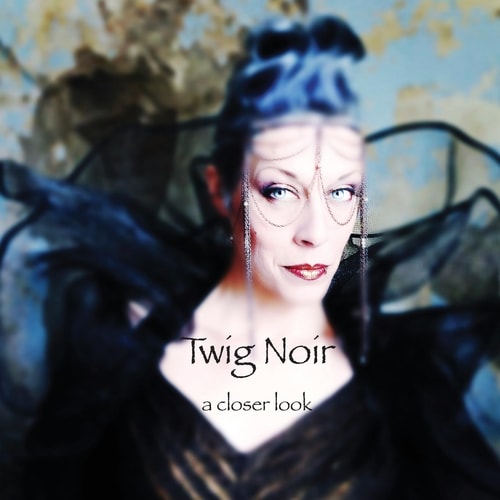 Twig Noir - a Closer Look