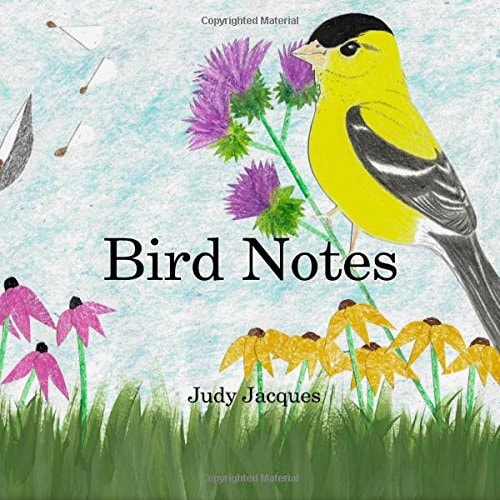 Bird Notes