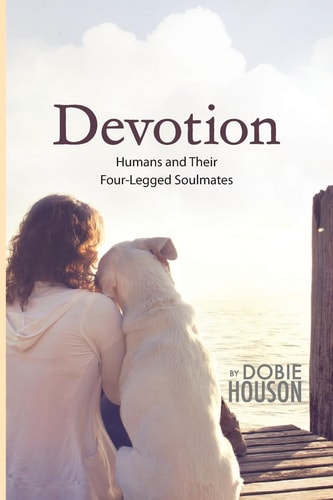 Devotion Humans and Their Four-Legged Soulmates