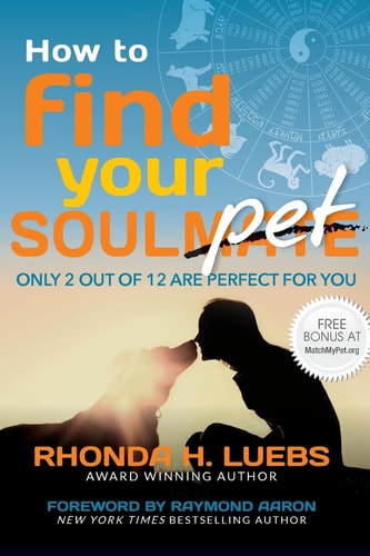 How to Find Your Soul(Mate)Pet Only 2 Out Of 12 Are Perfect For You