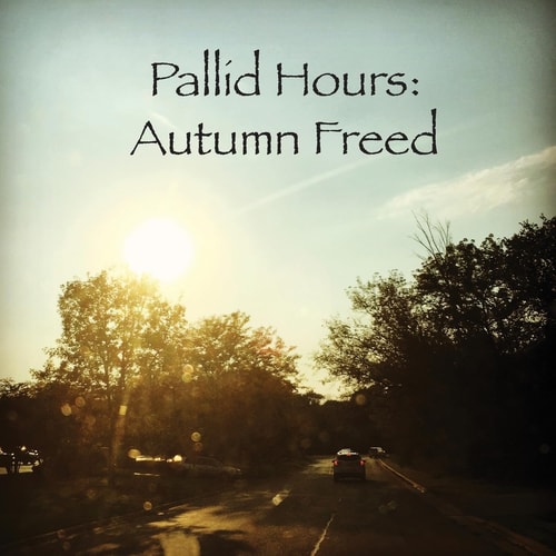 Pallid Hours Autumn Freed