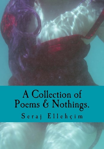 A Collection of Poems and Nothings A Collection of Poems, Nothings, and Short Stories. Mix Matched with Illustrations