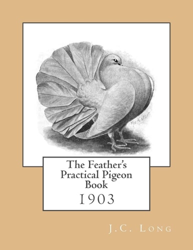 The Feather's Practical Pigeon Book