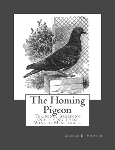 The Homing Pigeon Training, Breeding and Flying These Winged Messengers