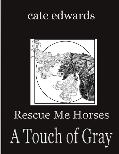 Rescue Me Horses A Touch of Gray