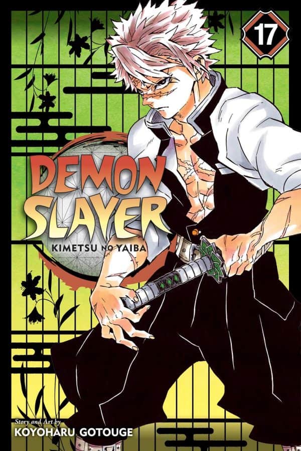 Demon Slayer: Kimetsu no Yaiba, Vol. 17 : Successors