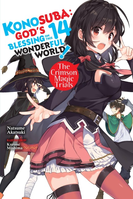 Konosuba: Gods Blessing on This Wonderful World!, Vol. 14 (light novel)