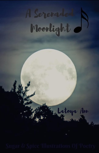 A Serenaded Moonlight Sugar N Spice Illustrations of Poetry