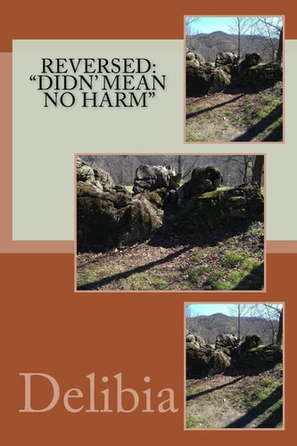 Reversed "Didn' Mean No Harm"