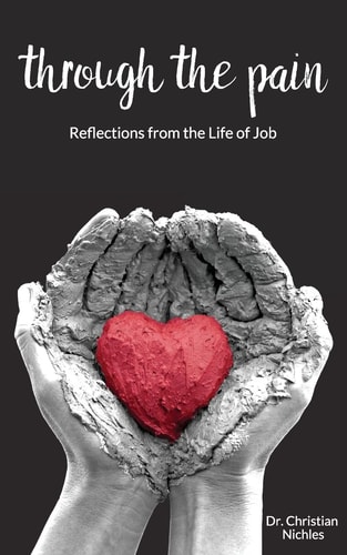 Through The Pain Reflections From the Life of Job