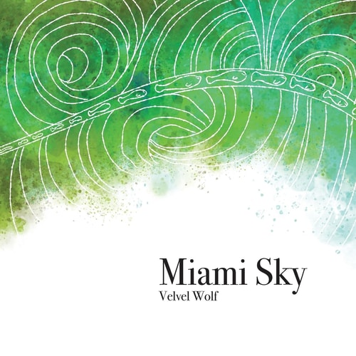 Miami Sky A Picture Book Poem